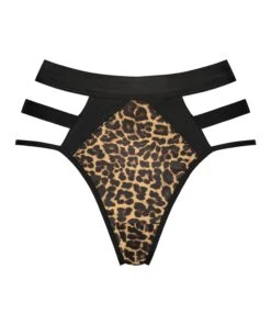 Hoher String Kat 10 Hoher String Kat -Modische Unterwäsche 197006 5