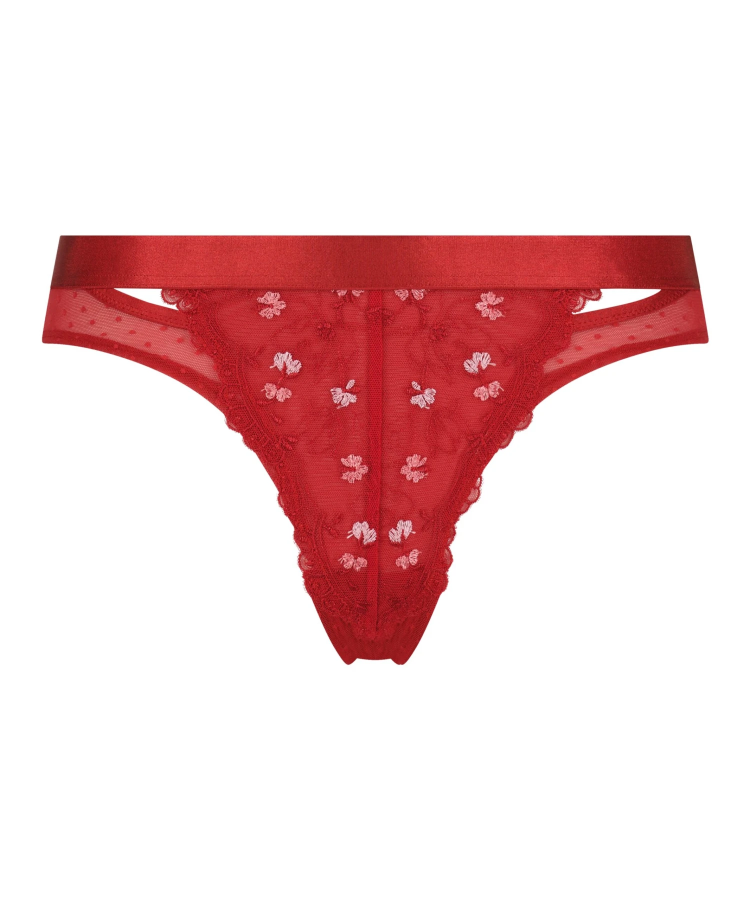 Brazilian Violet 6 Brazilian Violet – Bild 4