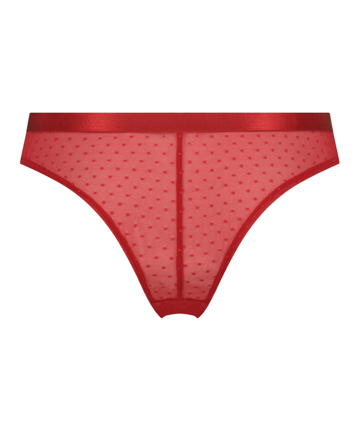 Brazilian Violet 7 Brazilian Violet – Bild 5