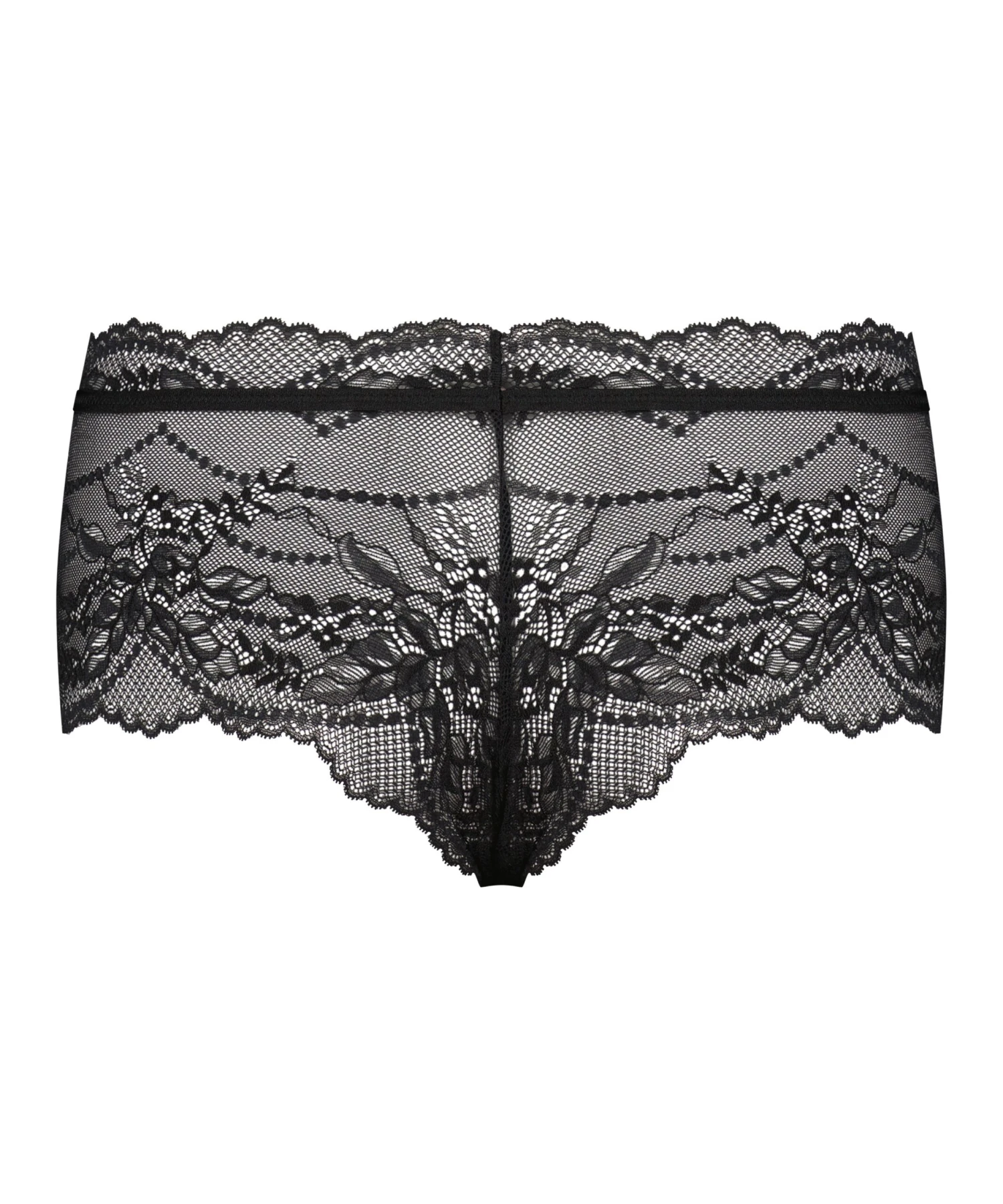 Boxer Vikki 7 Boxer Vikki – Bild 5